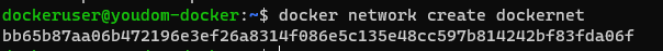 youdom-docker-network.png